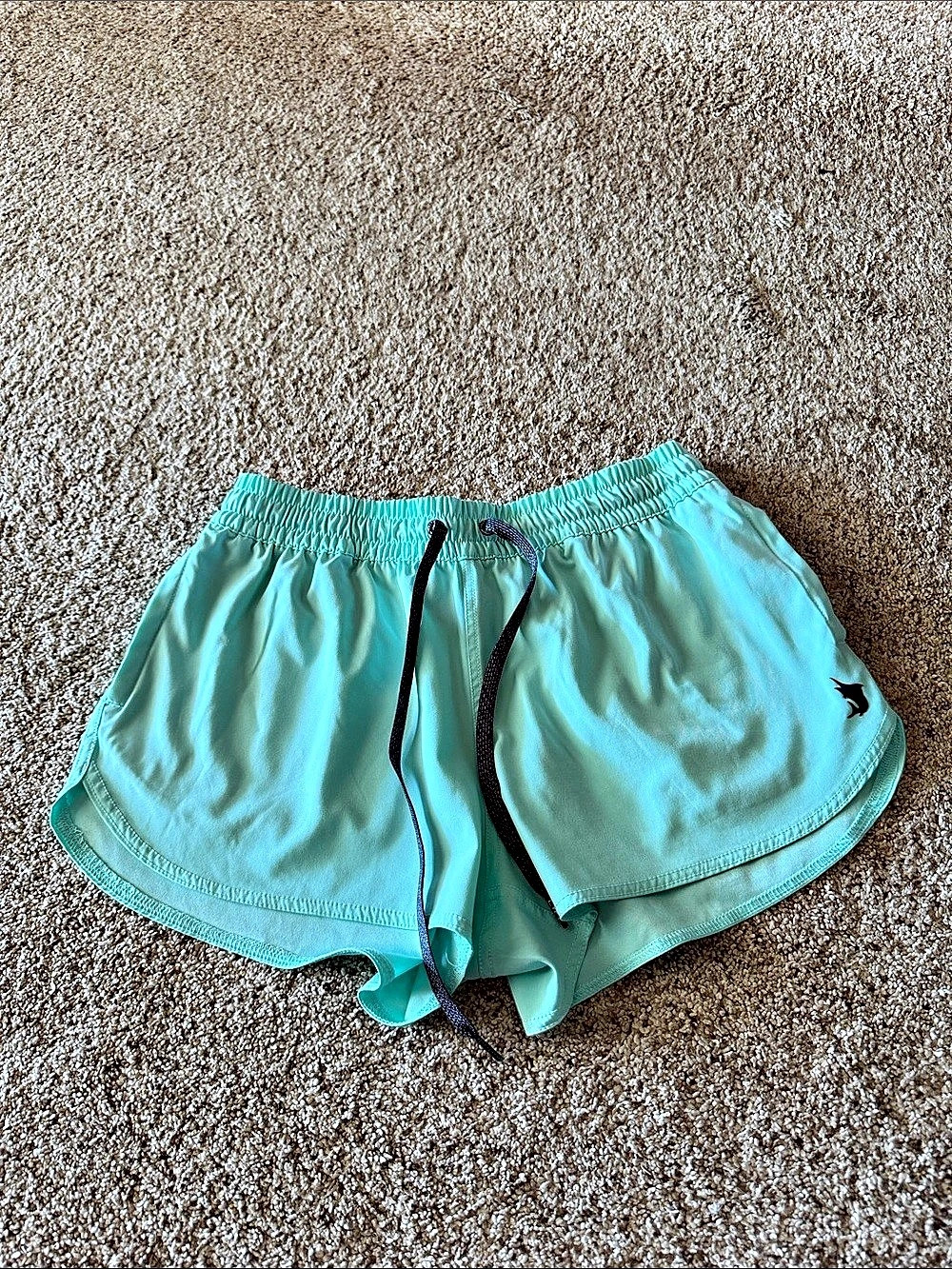 Salt Life Shorts Turquoise Large